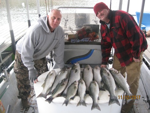 Nice Striped Bass
